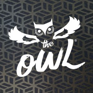 the owl logo